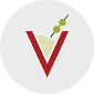 BarVision Logo Image