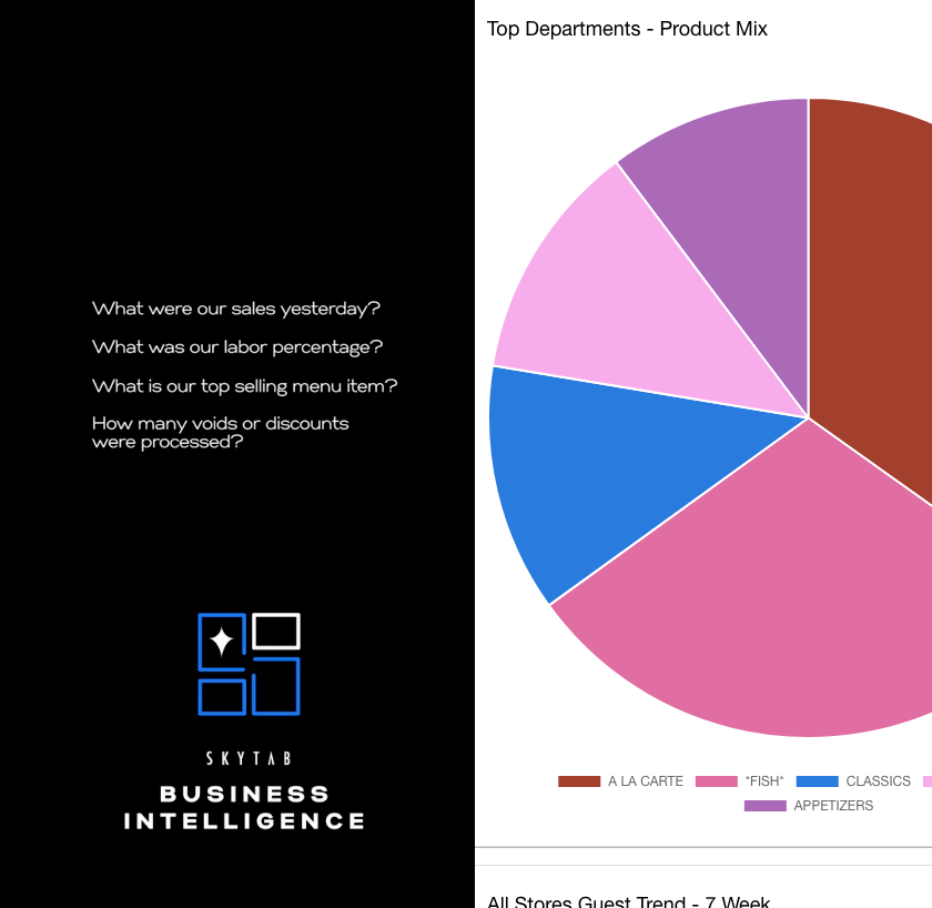 SkyTab Business Intelligence Image